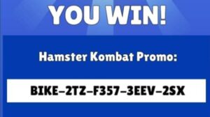 Hamster kombat daily Redeem Codes for Key